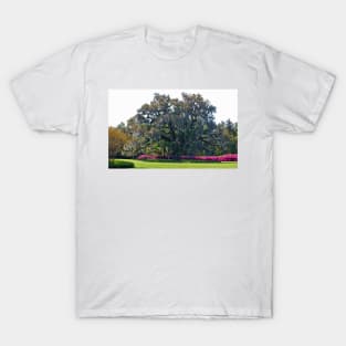 Airlie Oak In The Spring T-Shirt